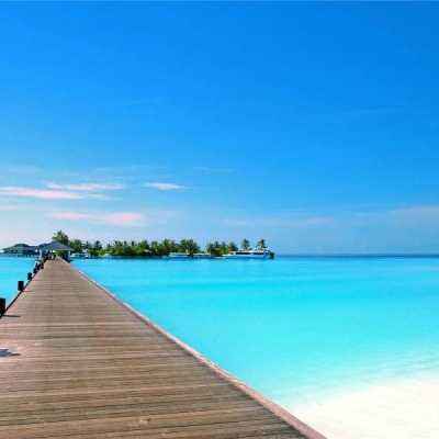 2023管家婆资料正版大全澳门app下载